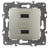 Розетка USB тип A+A без рамки Эра Elegance 2-м. 2100мА шампань картинка